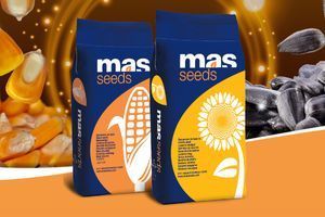Посівний матеріал від MAS Seeds | Маїсадур