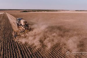 В Україні стартувала посівна озимих зернових під урожай 2025 року