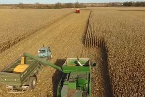 В Україні вже намолотили понад 35 млн т нового урожаю