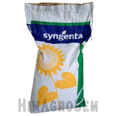 Насіння соняшника Суліано (Syngenta), Експрес (під Гранстар), Середньостиглий