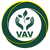 VAV