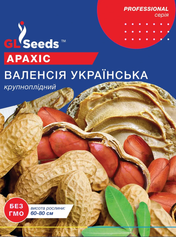 Насіння арахісу Валенсія Українська (GL Seeds), 25 шт