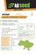 Насіння соняшника AGseed Вілама (Clearfield), Clearfield (Євролайтінг), Екстра, 2025