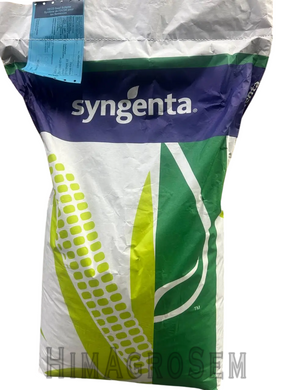 Насіння кукурудзи СИ Артос (Syngenta), ФАО 370