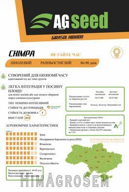 Насіння соняшника AGseed Чімпа (Clearfield), Clearfield (Євролайтінг), Екстра, 2025