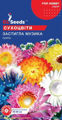 Насіння Сухоцвіти Застигла Музика (GL Seeds), 0.5г