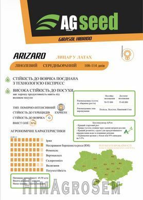 Насіння соняшника AGseed Арізаро (Гранстар), Експрес (під Гранстар), Екстра, 2025