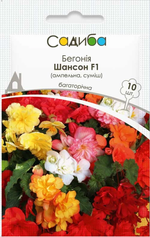 Насіння Бегонія Шансон суміш F1 , 10 шт