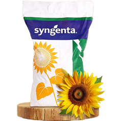 Насіння соняшника СИ Лазурі КЛП (Syngenta)