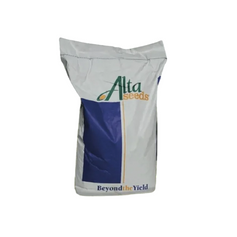 Насіння ріпаку озимого Коутріє (Alta Seeds ), Середньо-ранній