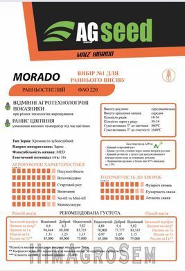 Насіння кукурудзи AGseed Морадо (ФАО-220), ФАО 220, 2025