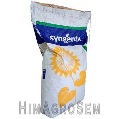 Насіння соняшника Syngenta Сайберік HTS