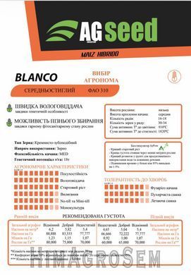 Насіння кукурудзи AGseed Бланко (ФАО-310), ФАО 310, 2025