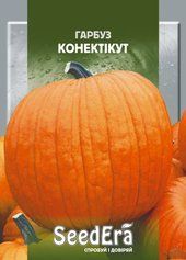 Насіння гарбуза Конектікут (SeedEra), 20 г
