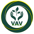 VAV
