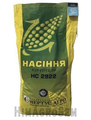 Насіння кукурудзи НС-2922(Нетрус), ФАО 240 - 250