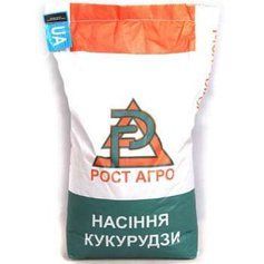 Насіння кукурудзи Рост Агро Блейд, ФАО 300