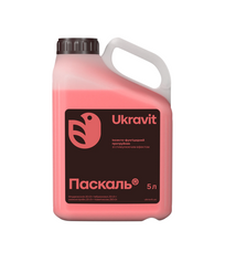 Протруйник Паскаль 5л , 5 л