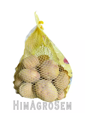 Насіннева картопля Пікассо 2,5 кг (Agrico), Перша Репродукція, Сітка 2.5 кг