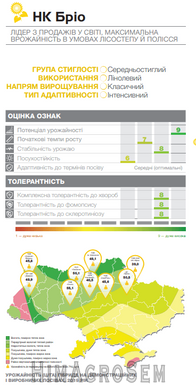 Насіння соняшнику НК Бріо (Syngenta), Класична, Середньостиглий, 2022