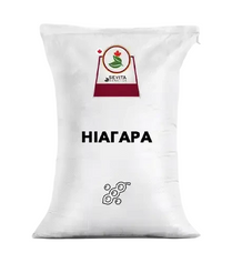 Насіння сої Ніагара (Sevita Genetics), Перша Репродукція
