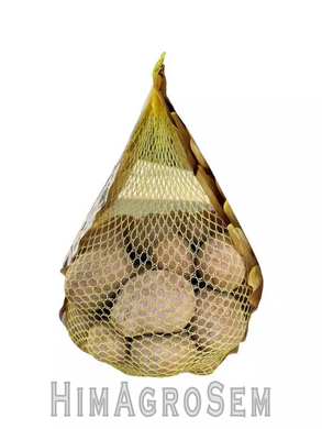 Насіннева картопля Белла Роса 2,5 кг (Agrico), Перша Репродукція, Сітка 2.5 кг