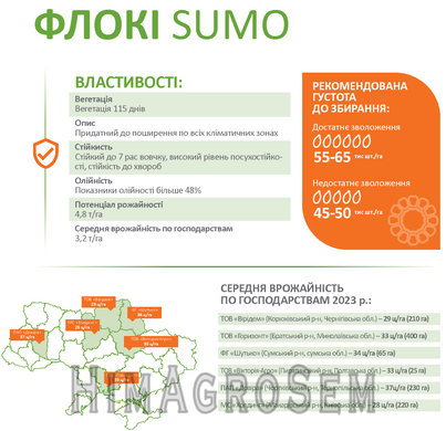 Насіння Соняшнику Флокі (Преміум 2025р.)