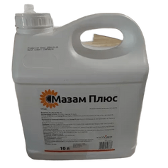 Гербіцид Innvigo Мазам Плюс 10 л, 10 л