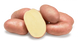 Насіннева картопля Коразон 2,5 кг (Agrico), Перша Репродукція, Сітка 2.5 кг