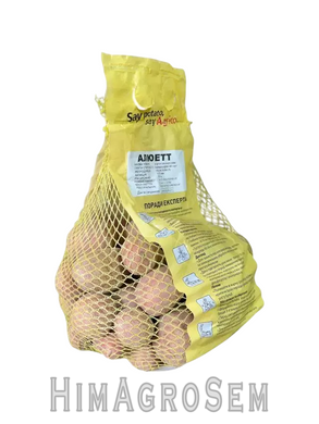 Насіннева картопля Алюетт 2,5 кг (Agrico), Перша Репродукція, Сітка 2.5 кг