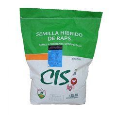 Насіння Ріпаку озимого Каспер (CISagro), (під Гранстар)