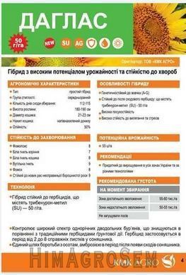 Насіння соняшнику Даглас, Експрес (під Гранстар), Стандарт+, 2025