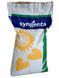 Насіння соняшника Syngenta Суміко HTS