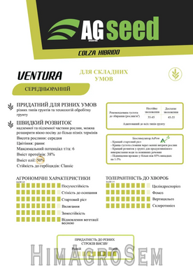 Насіння ріпаку озимого AGseed Вентура (Класичний), Класична, Середньоранній, 2025