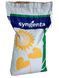 Насіння соняшника Syngenta Сурелі HTS