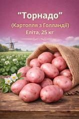 Насіннева картопля Торнадо 25 кг (Еліта), Еліта, Сітка 25 кг