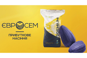 Насіння соняшника Євросем