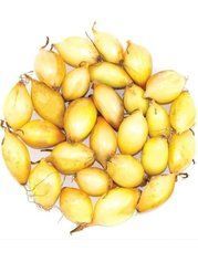 Насіння цибулі Трой, 0,5 кг