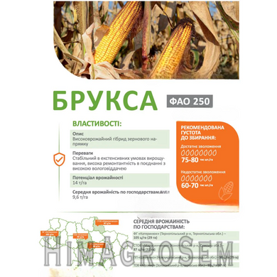 Насіння кукурудзи Брукса, Стандарт, ФАО 250, 2025