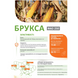 Насіння кукурудзи Брукса, Стандарт, ФАО 250, 2025
