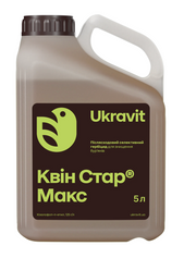 Гербіцид Квін Стар Макс 5л, 5 л