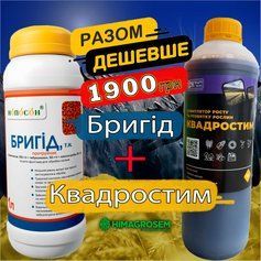 Набір для протруювання Бригід, Квадростим