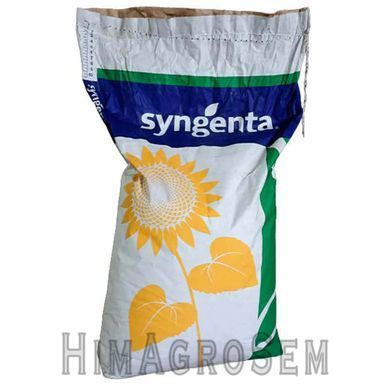 Насіння соняшника СИ Честер (Syngenta), Класична, Ранньостиглий