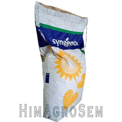 Насіння соняшника СИ Честер (Syngenta), Класична, Ранньостиглий