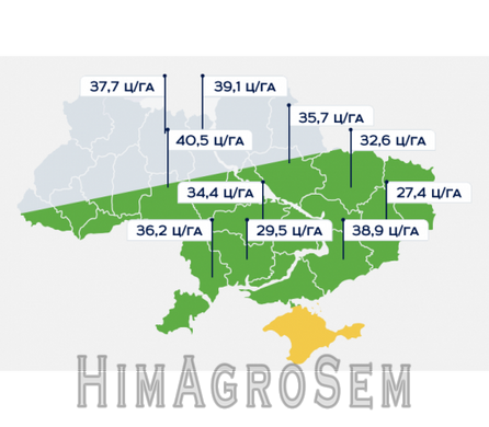 Насіння соняшнику Євросем Пегас (NS 6341), Clearfield (Євролайтінг), Оптимум, 2025